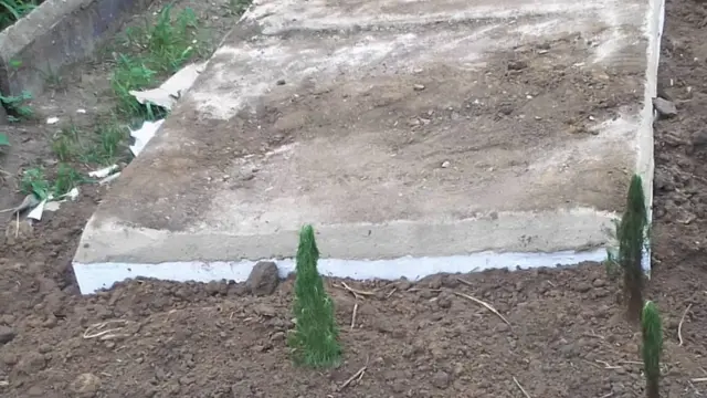 Aja jẹ nkan ọmọkunrin ọga rẹ ni Calabar