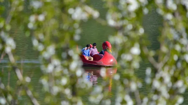 سری نگر میں موسمِ بہار