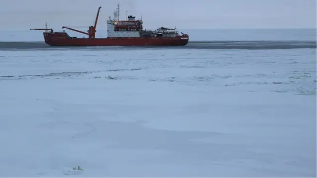 北极熊的伪装特别适应白色的冰雪世界。
