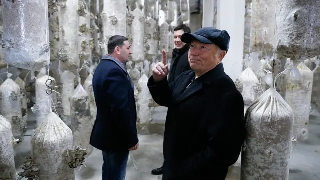 Лужков, грибы