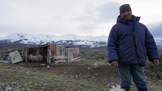 Mapuche