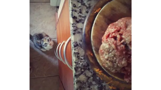 Foto de un lector de BBC Mundo por el tema "Desde Arriba"