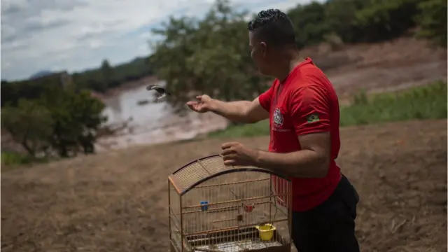 Bombeiro solta pássaro de gaiola