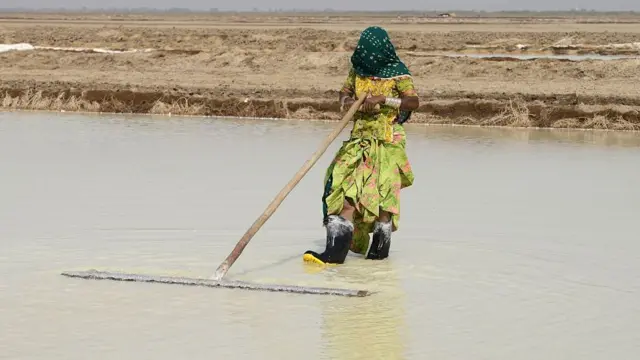 संतोकबेन नरूभाई कोली