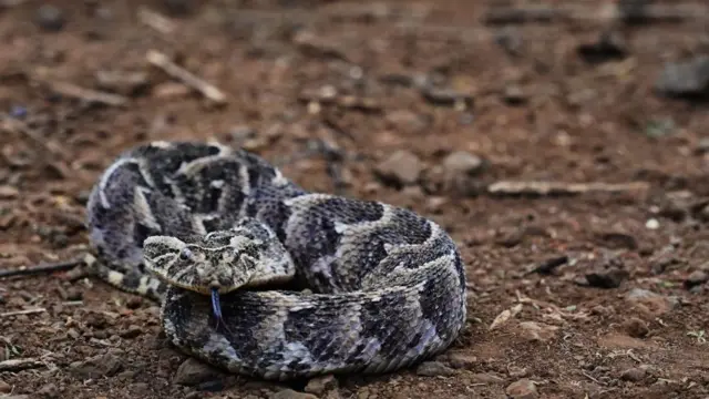 Selon le Dr Williams, bien que le nombre de décès reste encore élevé, y remédier " n'est pas sorcier".