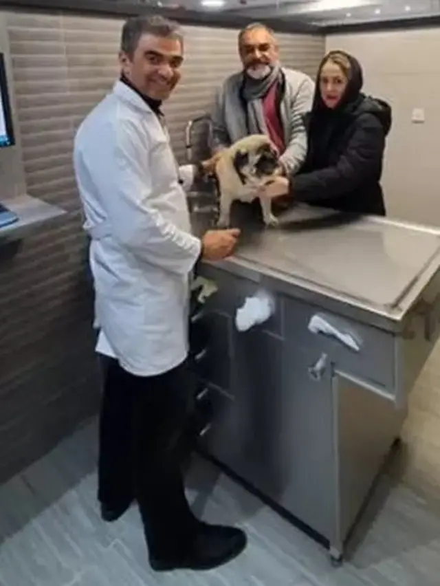 ఇరాన్ వెటర్నరీ అసోసియేషన్ అధ్యక్షుడు డాక్టర్ పయమ్ మొహెబీ, ఈ బిల్లును వ్యతిరేకించారు.