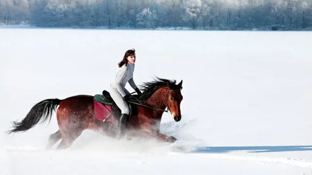 Лошадь прекрасно понимает чувства наездника