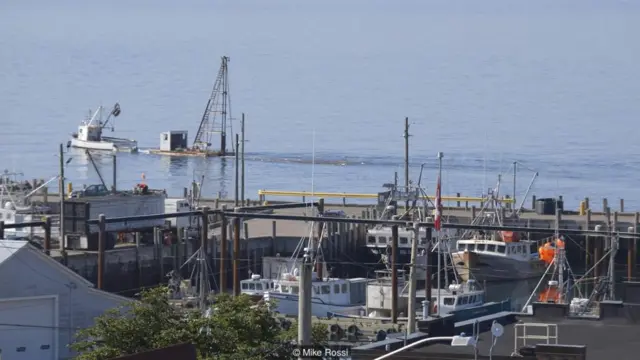 El puerto pesquero canadiense en New Brunswick Foto: Mike Rossi