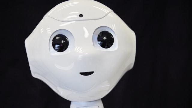 法国一项人工智能研究项目涉及的人型机器人