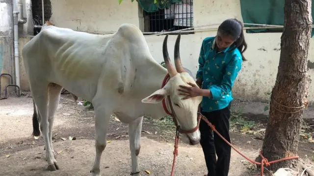 दीक्षा पारवे