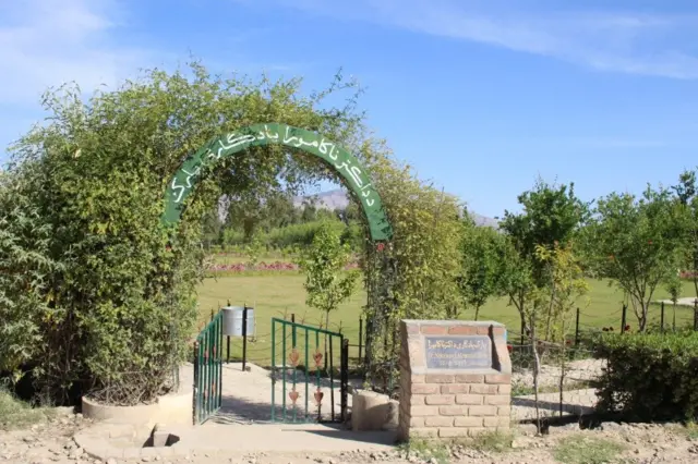 افغانستان