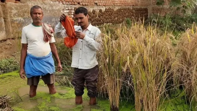 नितीश कुमार, बिहार, शेती, कृषी कायदे