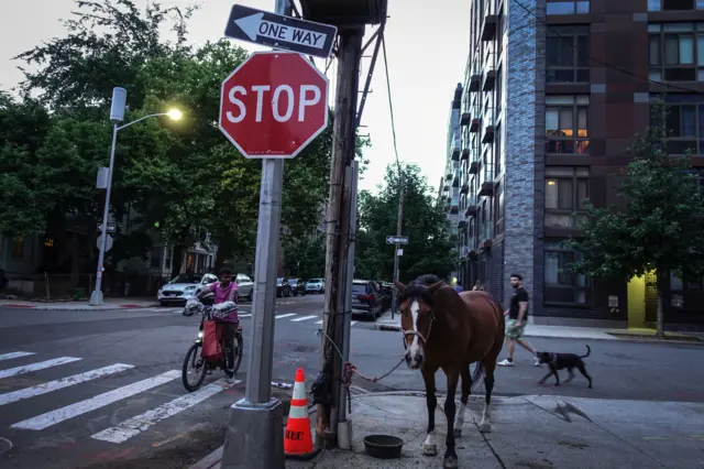 Ўзбекистондан келган муҳожирларнинг энг кўп сони Бруклинда яшайди.