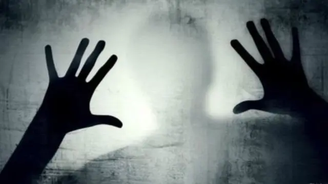 ગ્રાફિક્સ