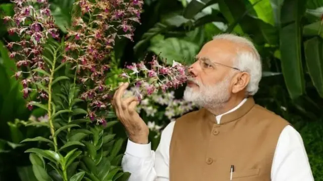 વડા પ્રધાન