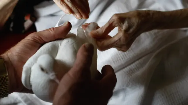 Manos de una persona mayor y manos de alguien sujetando una paloma