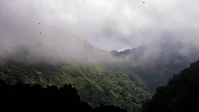 தமிழகத்தில் வெற்றி பெற்ற 3 சூழலியல் போராட்டங்கள்