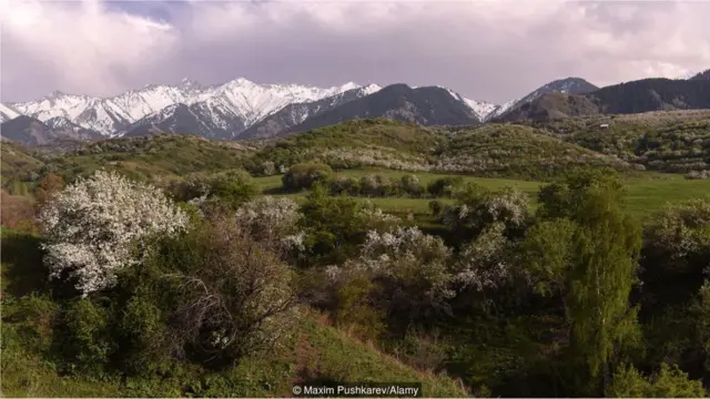 Tian Shan, no Cazaquistão