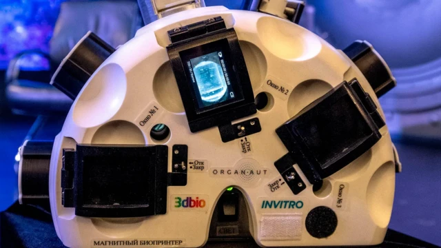 Une approche actuellement testée consiste à faire léviter les tissus dans un champ magnétique pendant leur croissance.