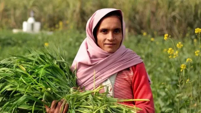 ગુજરાતના ખેડૂતો માટે રાહત