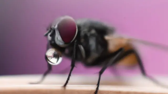 நீரும், நானும்: பிபிசி தமிழ் வாசகர்களின் புகைப்படத் தொகுப்பு