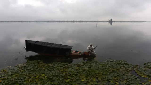 कश्मीर