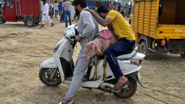 Seorang warga di kawasan bergolak Kashmir, India membawa kambing kurban dari pasar hewan.