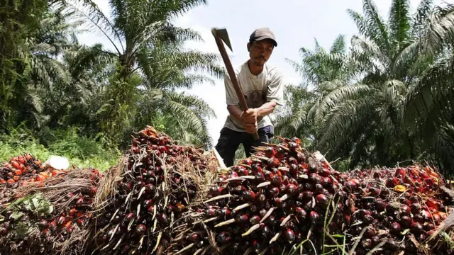 मलेशिया, भारत, पाकिस्तान, आयात-निर्यात