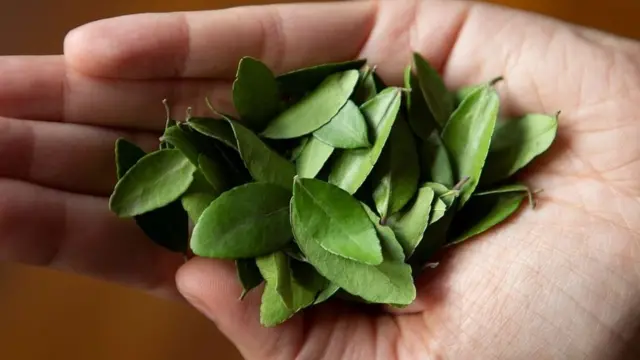 اب چھوٹے پیمانے پر پویون اگانے والے کاشتکار اس کی پائیداری اور مقامیت کو اجاگر کرکے اسے فروغ دینے کی کوشش کر رہے ہیں