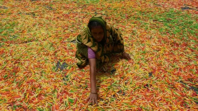 नए श्रम क़ानून