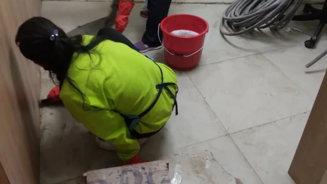 सरसफाइमा खटिएकी युवती