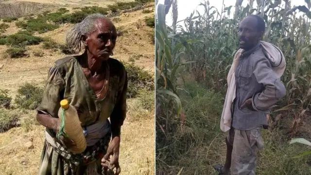 ሓረስቶት ዕስለ ኣንበጣ በረኻ ኣብ ዘራእቶም ብዘብጽሖ ሓደጋ ተስፋ ከም ዝቖረጹ ይግለጽ