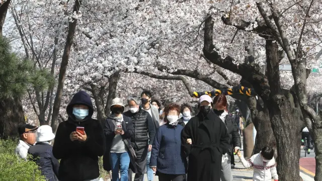 정부의 사회적 거리두기 권고에도 불구하고 마스크를 쓴 시민들이 30일 오후 서울 영등포구 국회 뒤편 여의서로 벚꽃길을 걷고 있다