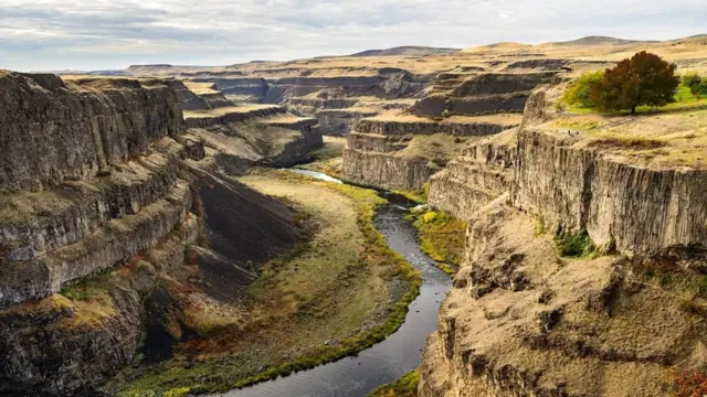 （圖片來源：Zack Frank）