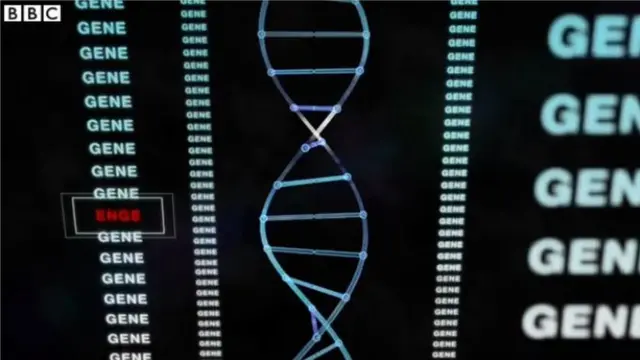 జన్యు సవరణ