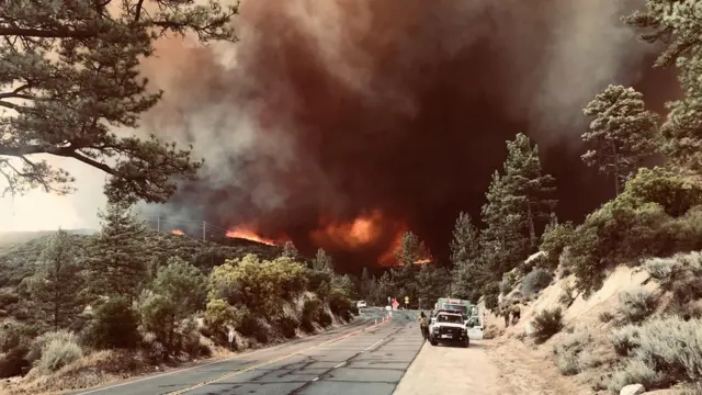 fire