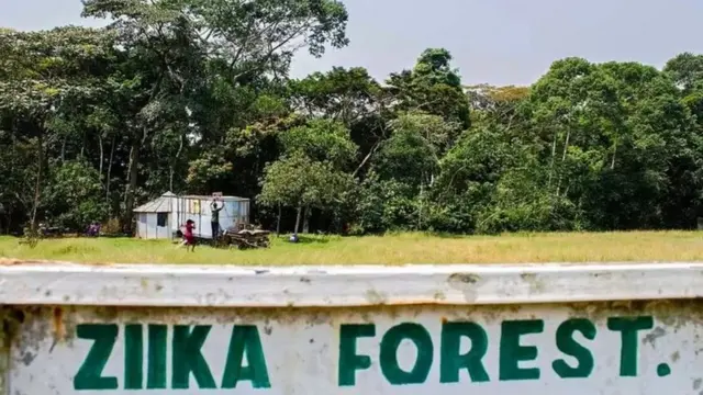 वन क्षेत्र