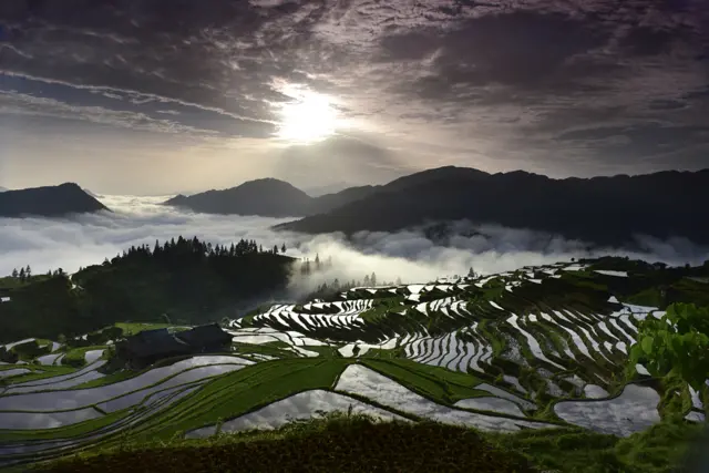 The Miao Terraces by Mingli Tian