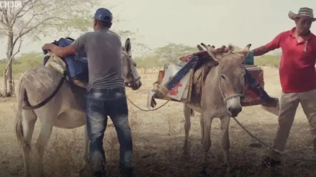 गधे से पढ़ाई