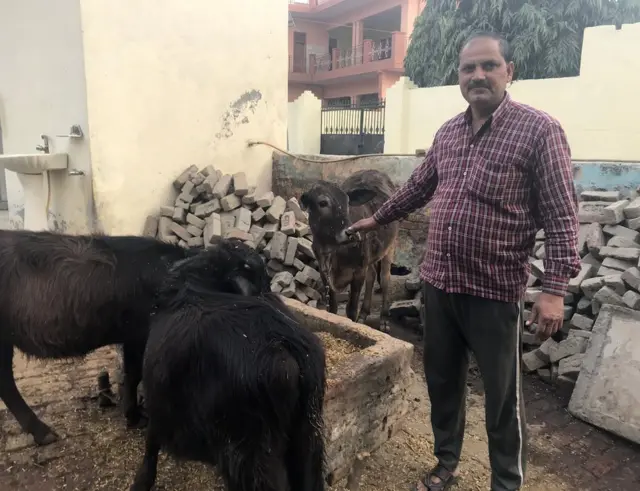 गाय से परेशान लोग