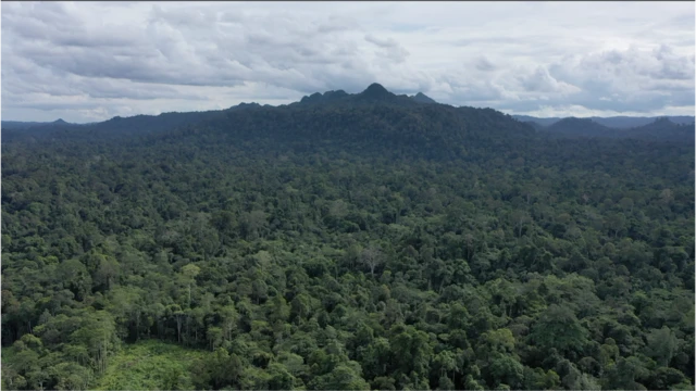 Punan Batu, Kalimantan, lingkungan