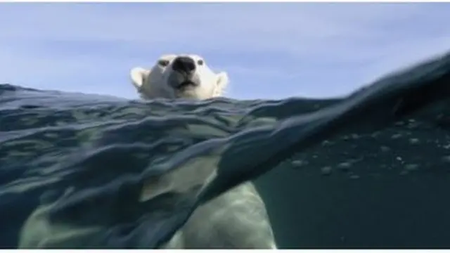 ለውጢ ክሊማ ዓለም