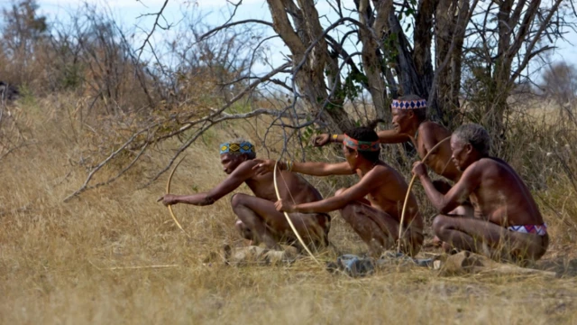 ชนเผ่า Hoansi ในประเทศนามิเบีย กำลังฝึกใช้หน้าไม้ล่าสัตว์