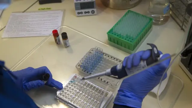 Клинический тест на антитела к SARS-Cov-2 в лаборатории Вашингтонского университета