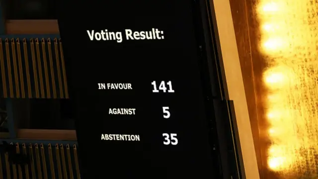 Голосование в ООН