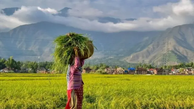 કાશ્મીર