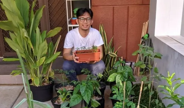 petani kota berkebun dari rumah