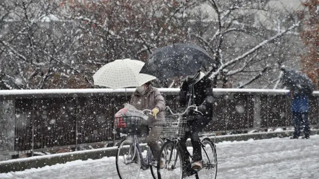 Tokyo, Jepang, salju