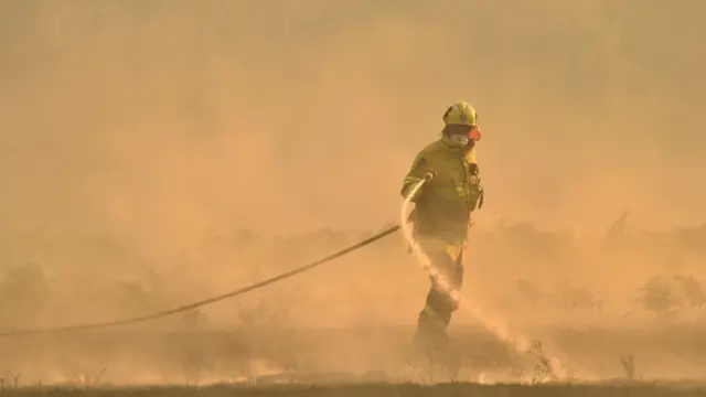 ఆస్ట్రేలియాలోని టారీ సమీపంలో మంటలు ఆర్పేందుకు ప్రయత్నిస్తున్న అగ్నిమాపక సిబ్బంది