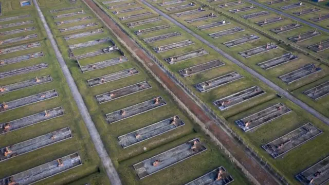 آشویٹز، یہودی، ہولوکاسٹ، نازی، جرمنی، پولینڈ، عالمی جنگ، دوسری عالمی جنگ، ہٹلر، اوشوتز